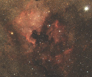 Ngc 7000 - Nébuleuse North America