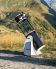 Télescope azimutal T300