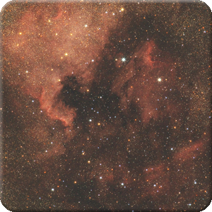 Ngc 7000, Nébuleuse North America.